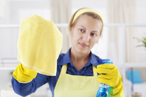 Deep oven cleaning service for a kitchen in NW8