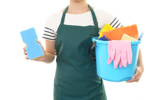 Professional window cleaning for NW8 residential buildings