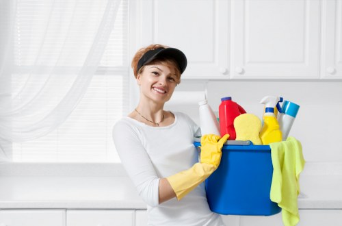 Window cleaning service for mixed property types in NW8