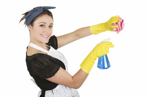 Kitchen and bathroom domestic cleaning in a NW8 apartment